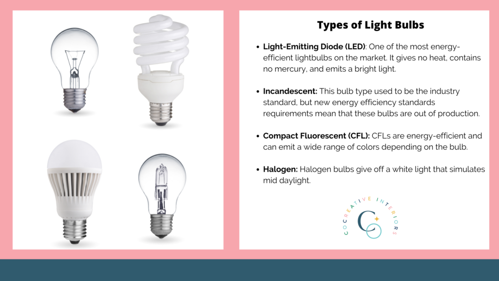 types of light bulbs infographic